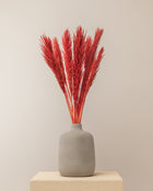 Penacho de pampas vermelho Lenn 75cm - 10pc