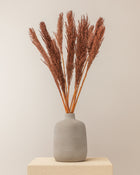 Penacho de pampas castanho Lenn - 75cm - 10pc