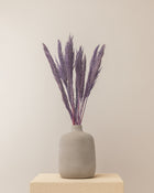 Penacho de pampas Lenn lilás 75cm - 10pc