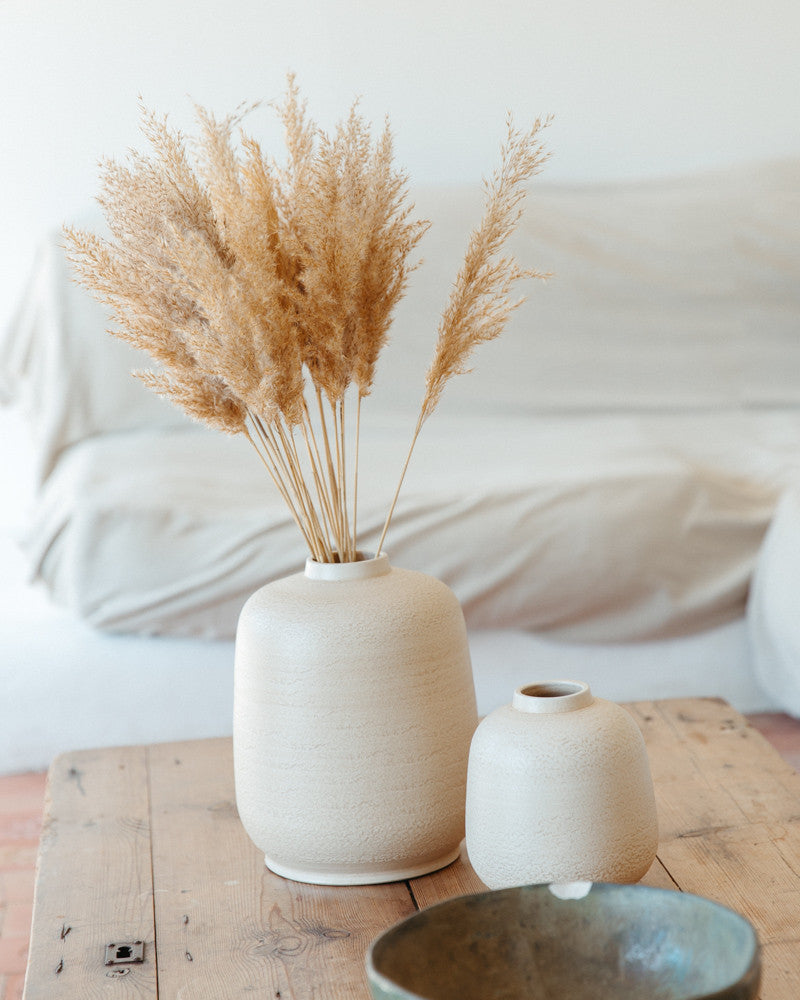 Pampa plumero wild reed natural -  65cm - 20pc