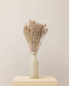 Broom bloom seco lilás misty (molho)
