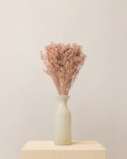 Broom bloom seco rosa misty (mazo)