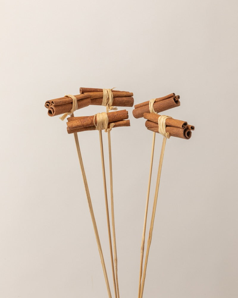 Canela en rama decorativa natural 8cm -  5 piezas decorativas Premium