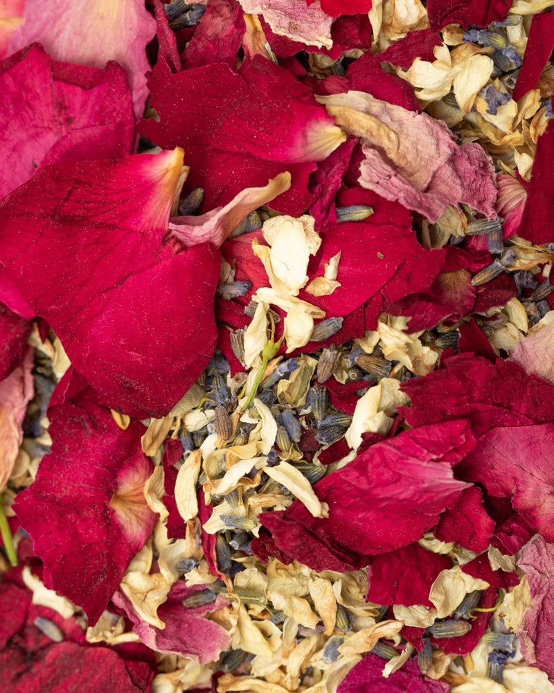 Burgundy forever - Confeti biodegradable | Petalos secos | 1L