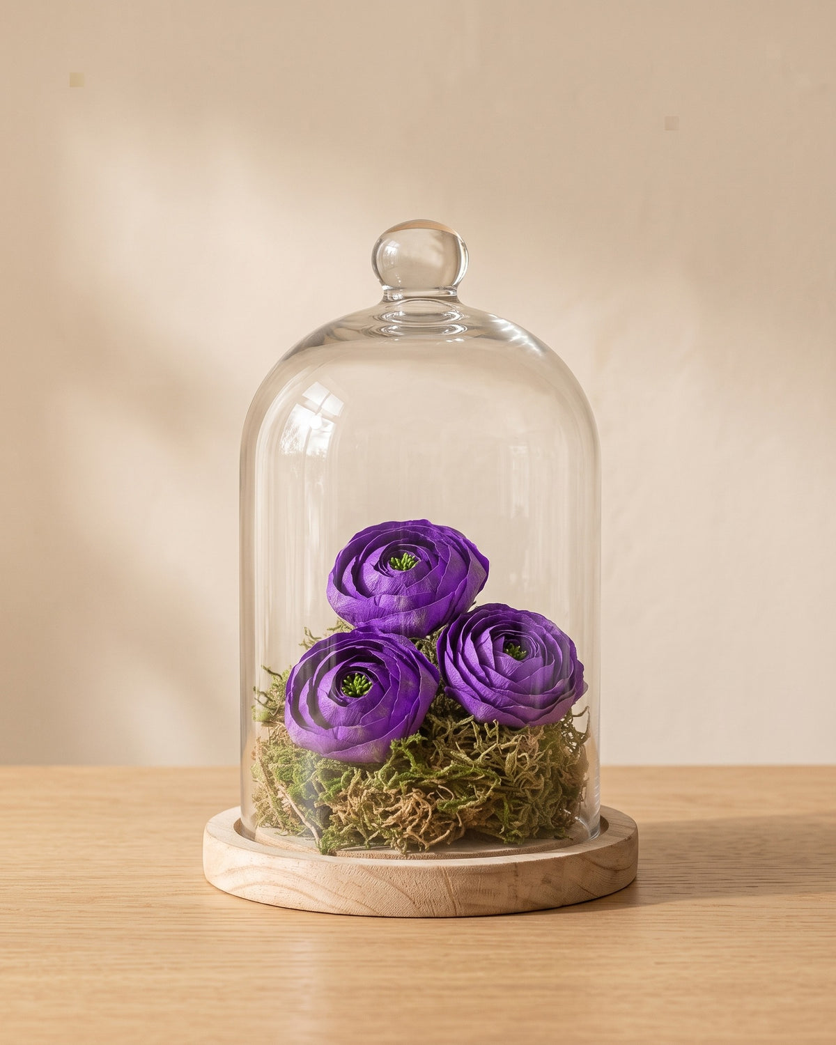 Ranúnculos preservados lavanda en una cúpula, ambientados. Cúpula no incluida.