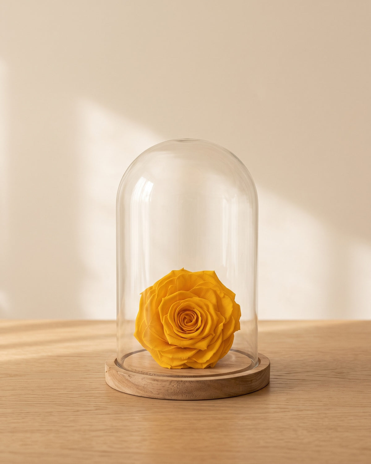 Cabeza de rosa preservada amarilla bajo una cúpula de cristal, ambientada. Cúpula no incluida.