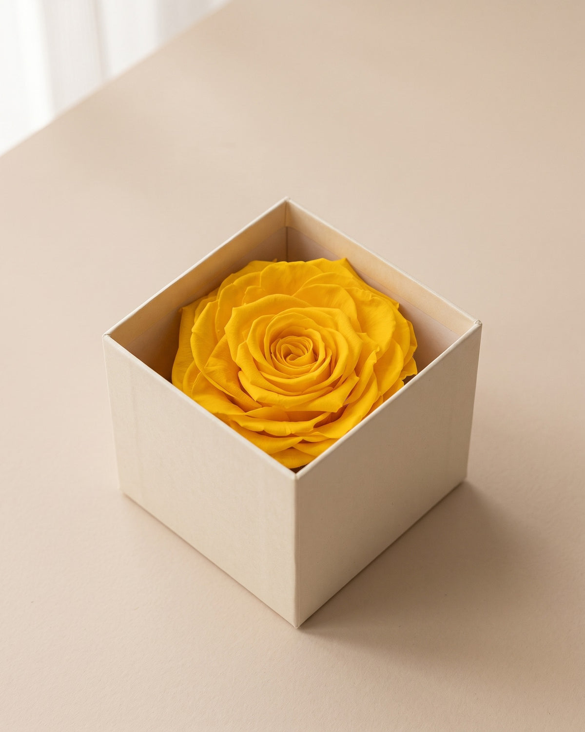 Rosa preservada Magna amarilla, una cabeza en una caja abierta