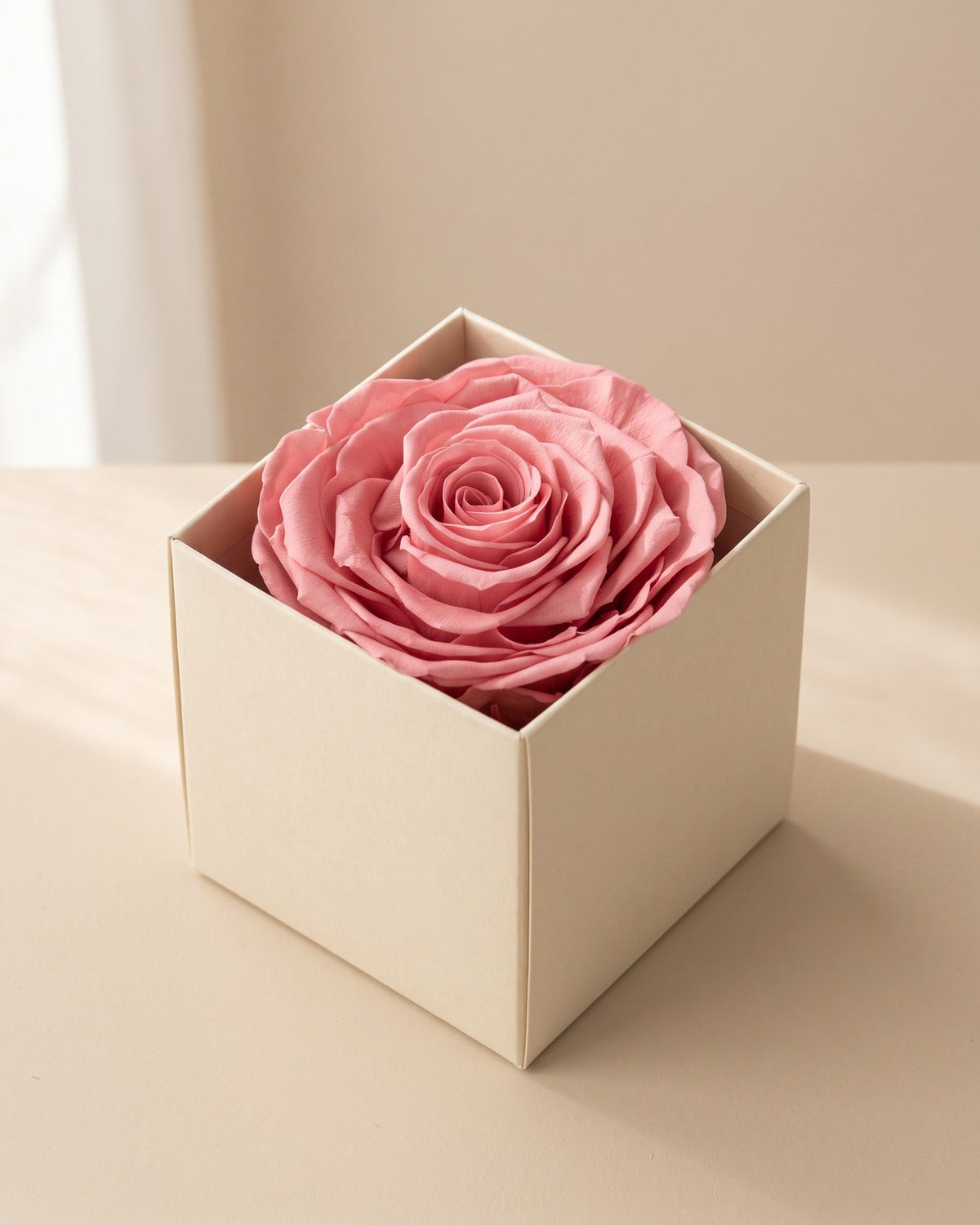 Rosa preservada Magna rosa, una cabeza en una caja abierta