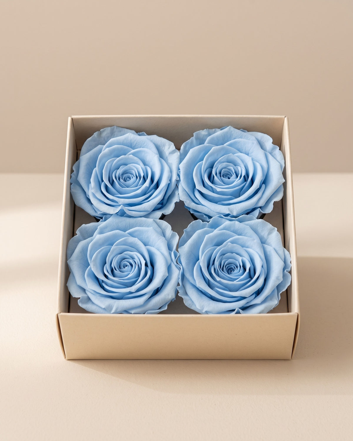 Cabeças de rosa preservada azul-celeste (grandes) numa caixa aberta