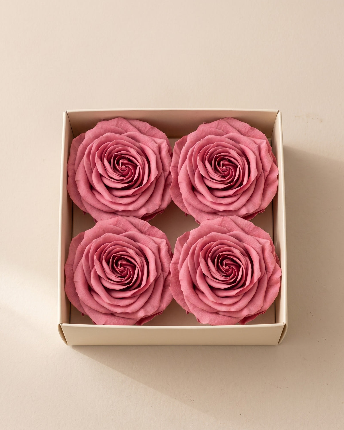 Cabeças de rosa preservada cereja (grandes) numa caixa aberta