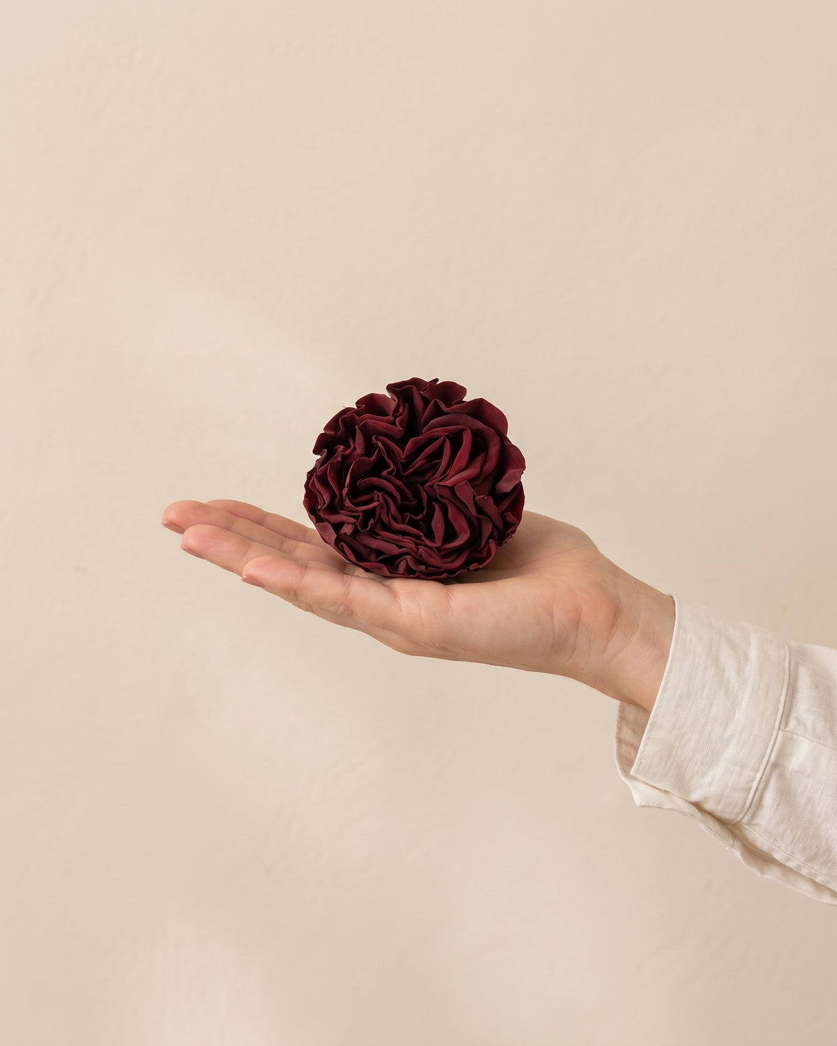 Cabeza de rosa de jardín preservada granate (Romantic) en la palma de la mano, para ver su tamaño real