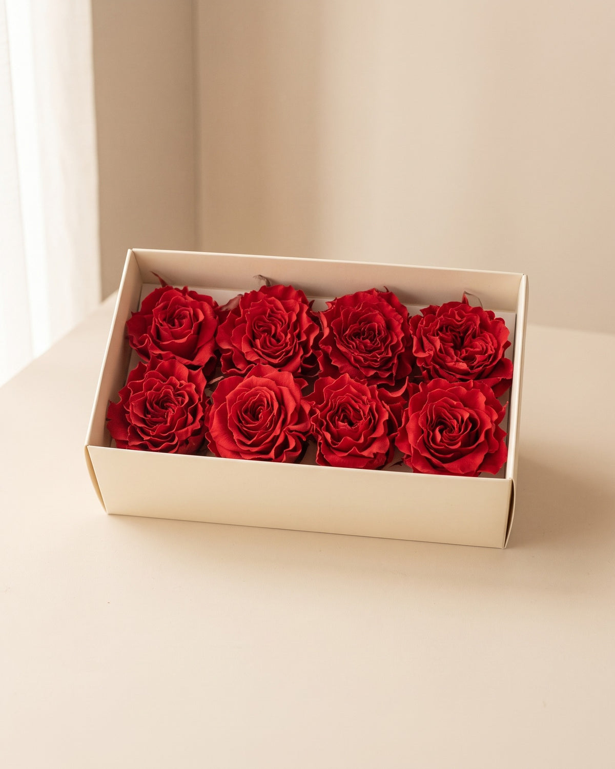 Cabezas de rosa preservada roja (Romantic) en una caja abierta