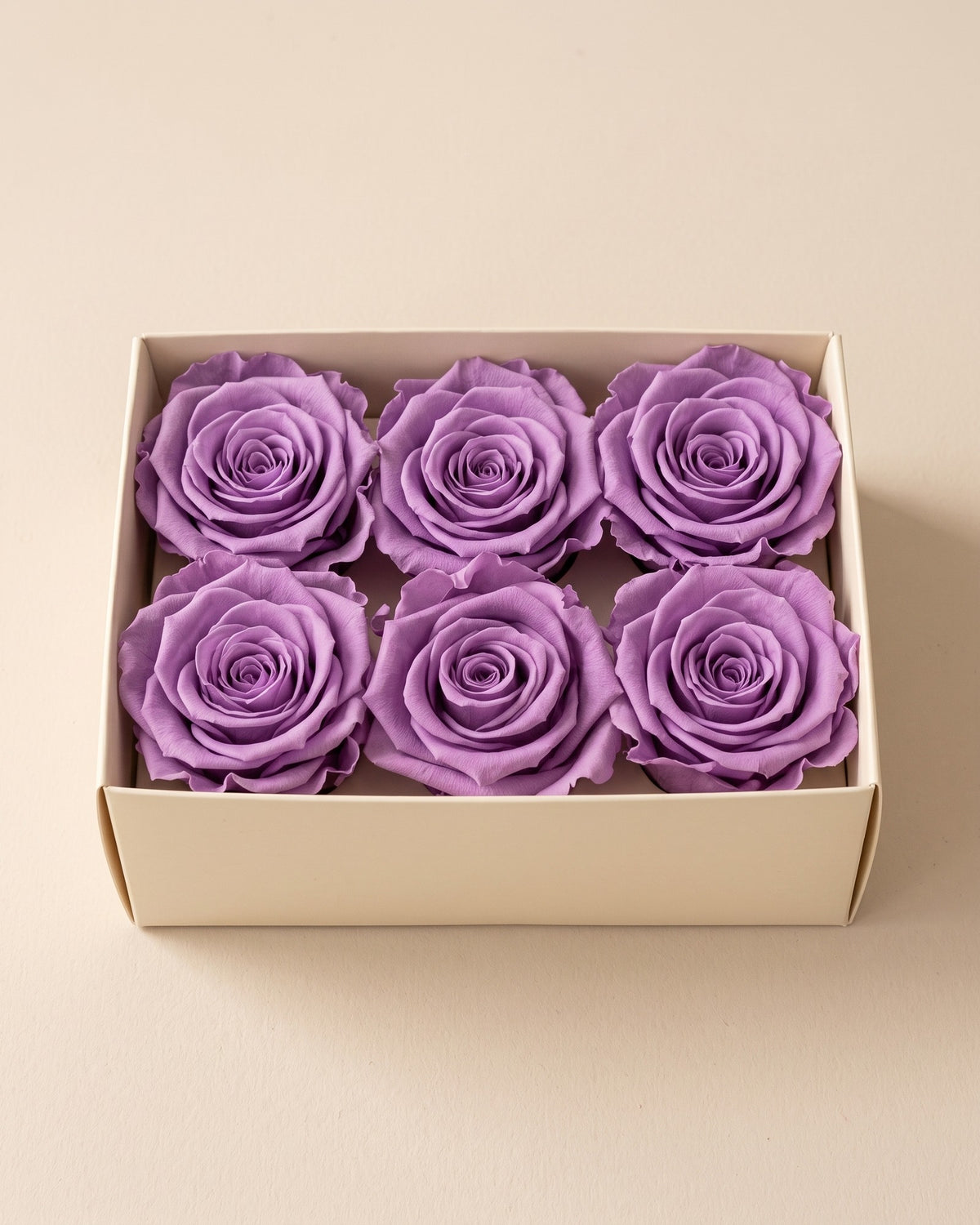 Cabezas de rosa preservada lavanda (medianas) en una caja abierta