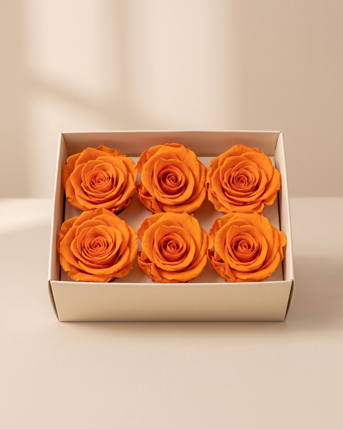 Cabezas de rosa preservada naranja (medianas) en una caja abierta