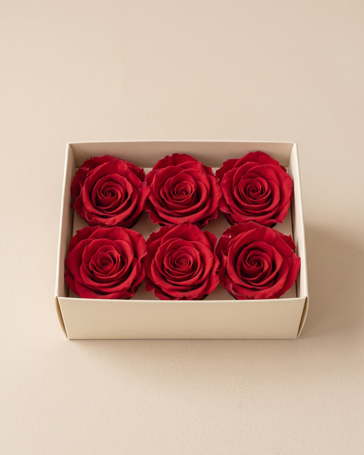 Cabezas de rosa preservada roja (medianas) en una caja abierta