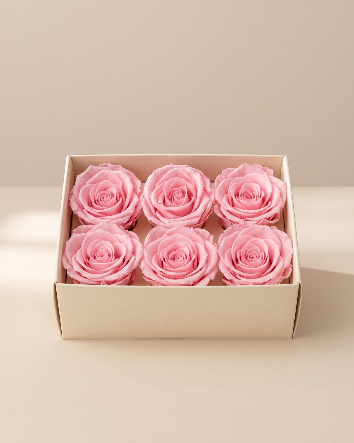 Cabezas de rosa preservada rosa (medianas) en una caja abierta