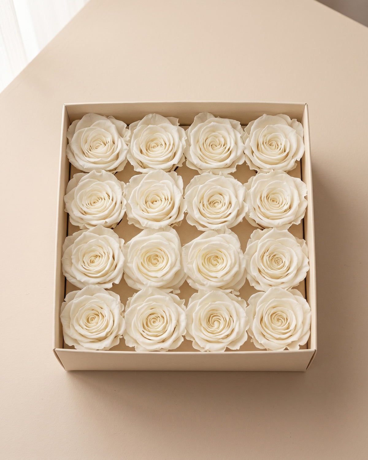 Cabezas de rosa preservada blanca (Ava) en una caja abierta