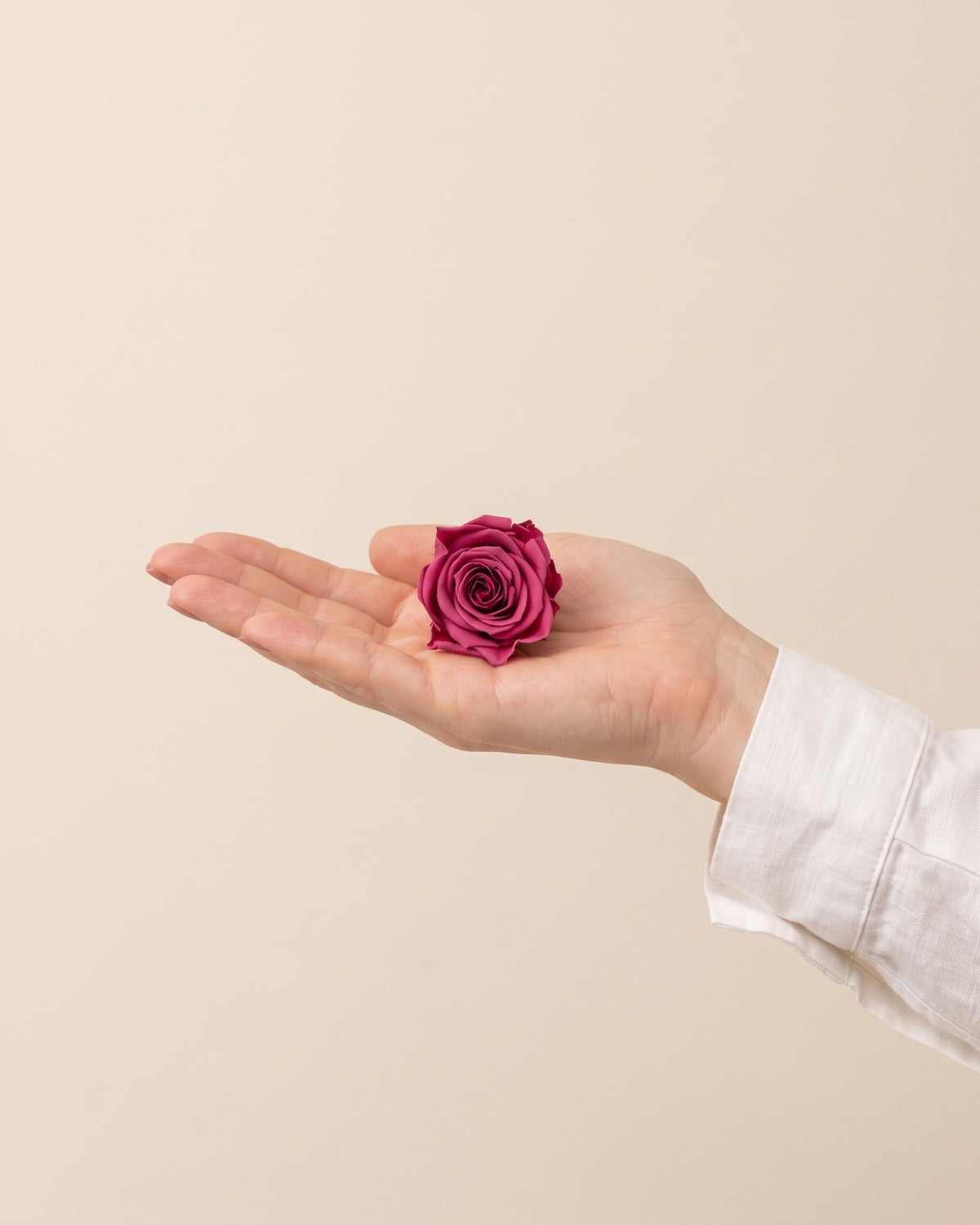Una cabeza de rosa preservada cereza en la mano, para ver su tamaño