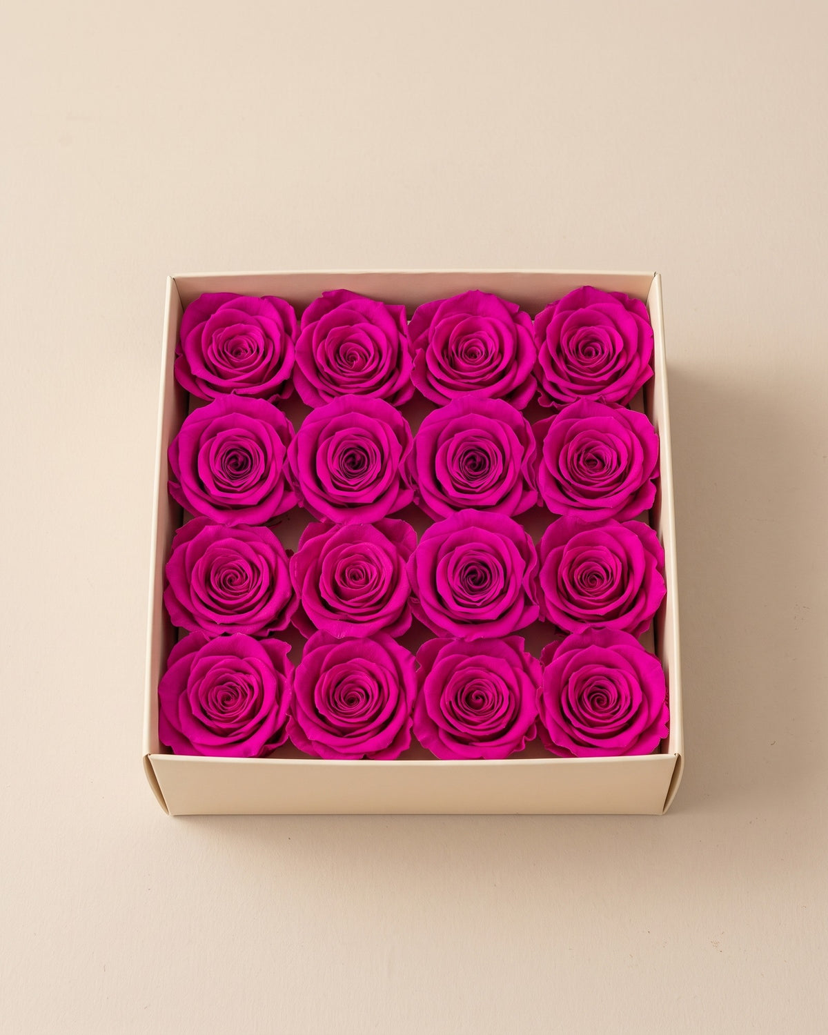 Cabezas de rosa preservada fucsia (Ava) en una caja abierta