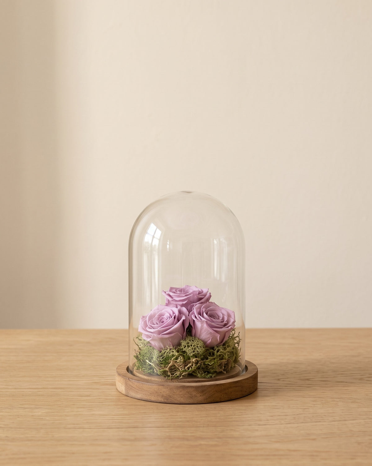 Cabezas de rosa preservada lavanda en una cúpula de cristal, ambientada. Cúpula no incluida.