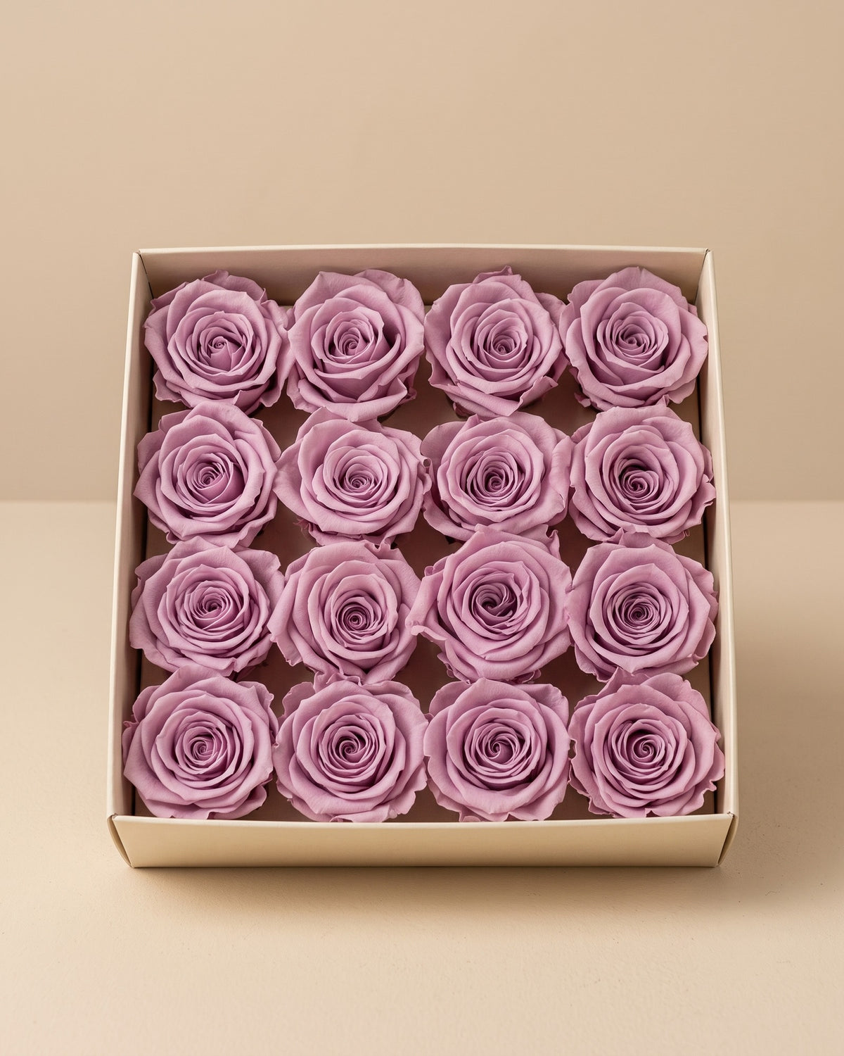 Cabezas de rosa preservada lavanda (Ava) en una caja abierta