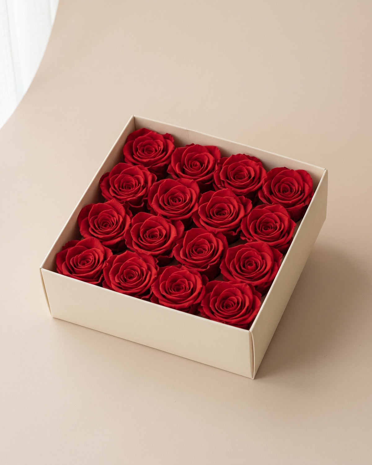 Cabezas de rosa preservada roja (Ava) en una caja abierta