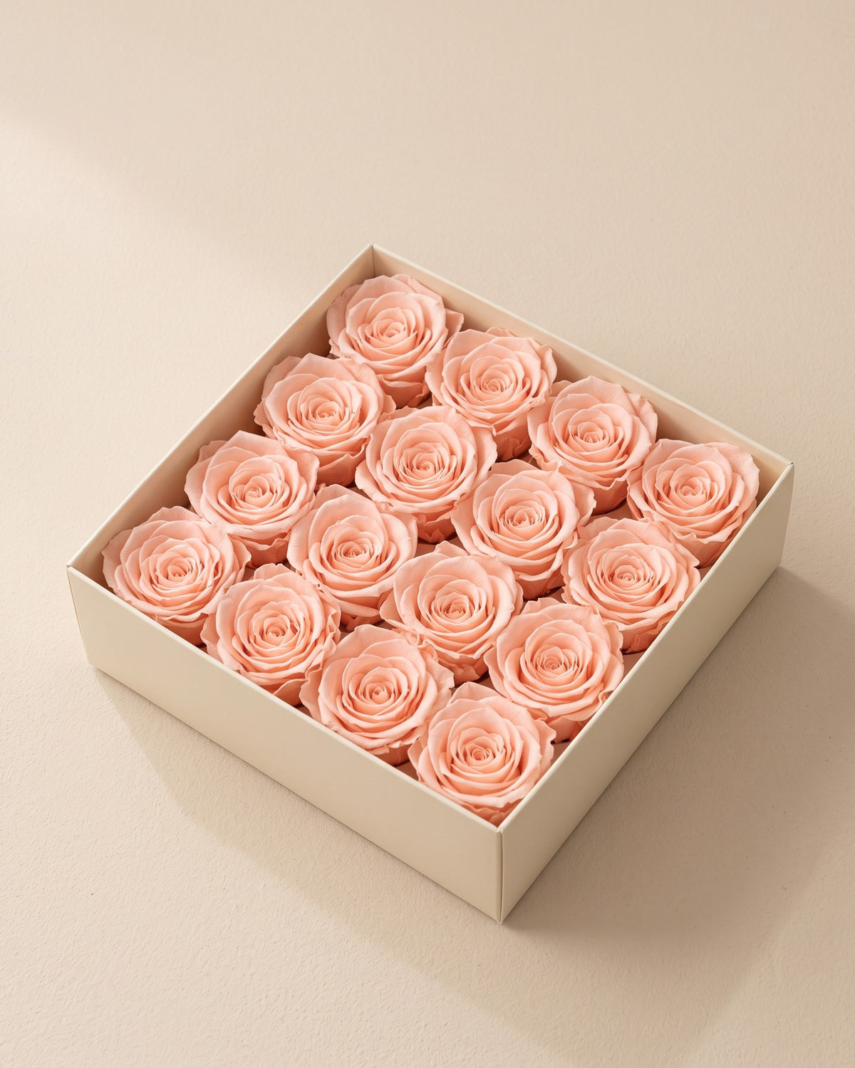 Cabezas de rosa preservada rosa clara (Ava) en una caja abierta
