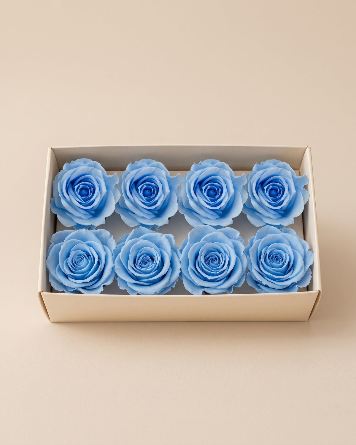 Cabezas de rosa preservada azul clara (Inés) en una caja abierta