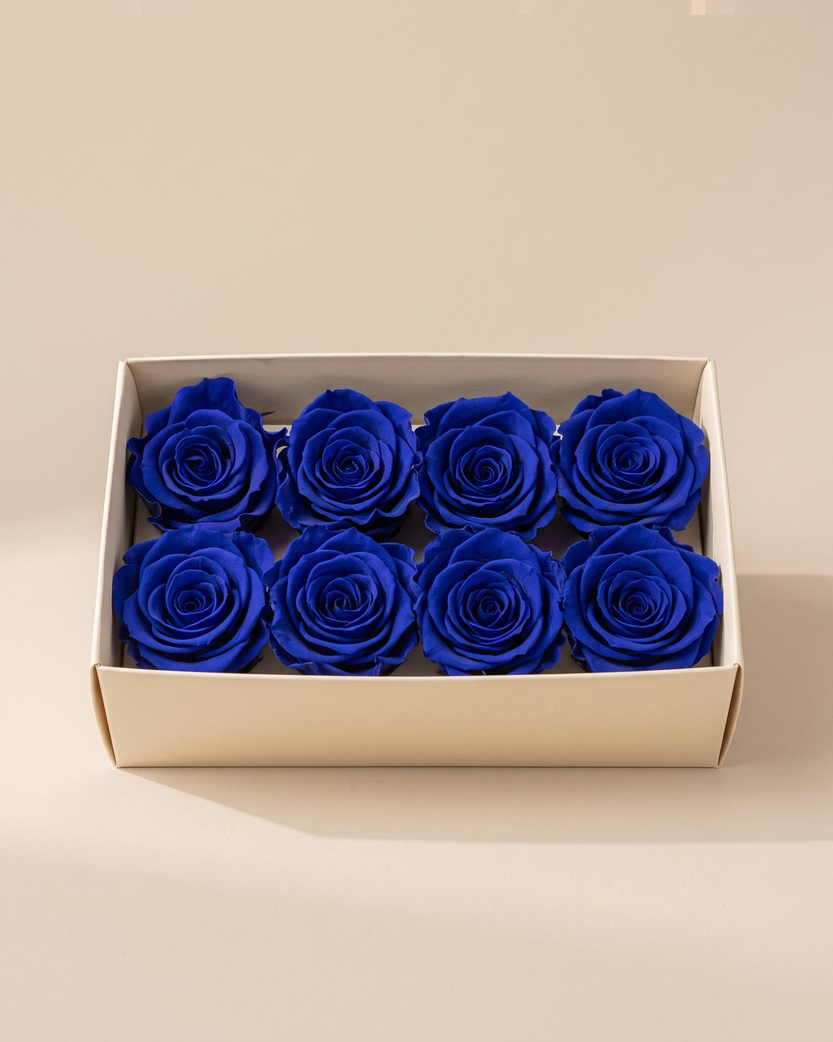Cabezas de rosa preservada azul (Inés) en una caja abierta