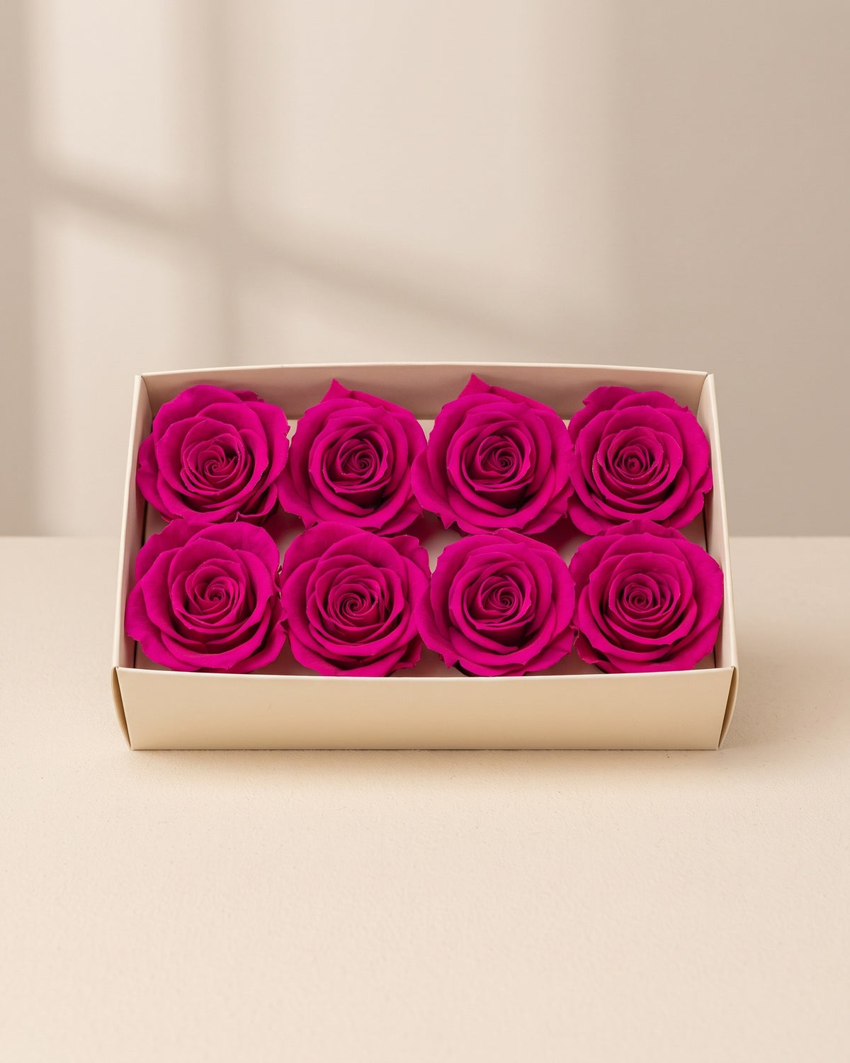 Cabezas de rosa preservada fucsia (Inés) en una caja abierta