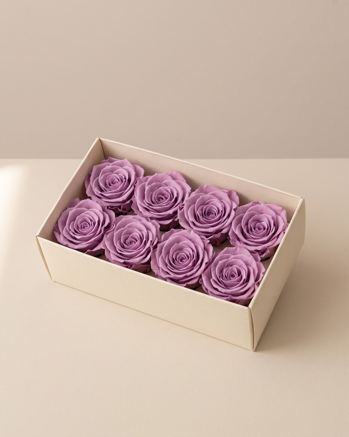 Cabezas de rosa preservada lavanda (Inés) en una caja abierta