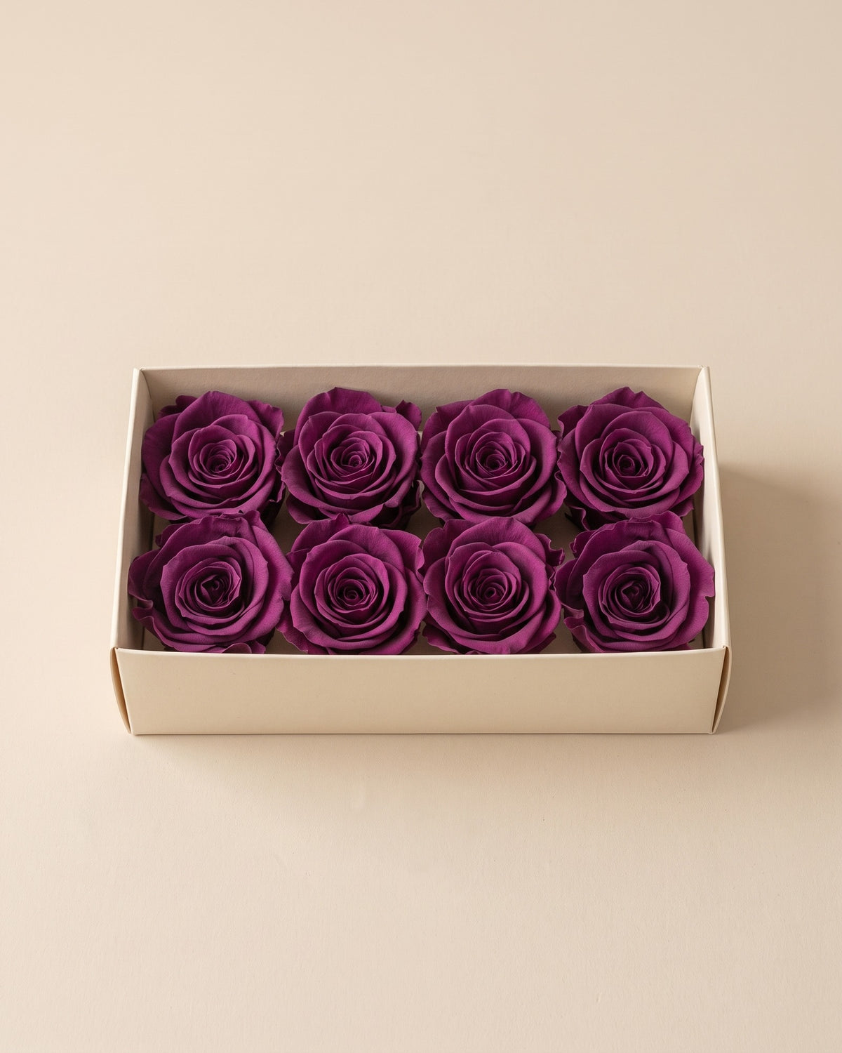 Cabezas de rosa preservada morada (Inés) en una caja abierta