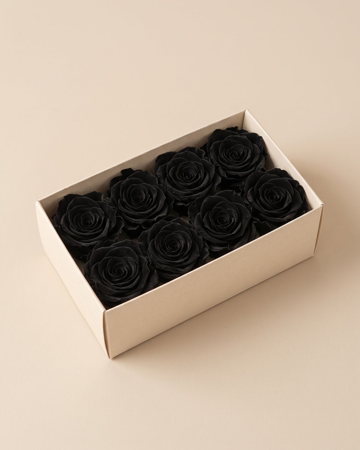 Cabezas de rosa preservada negra (Inés) en una caja abierta