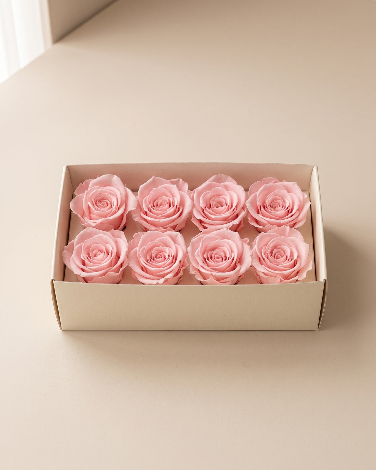 Cabezas de rosa preservada rosa (Inés) en una caja abierta