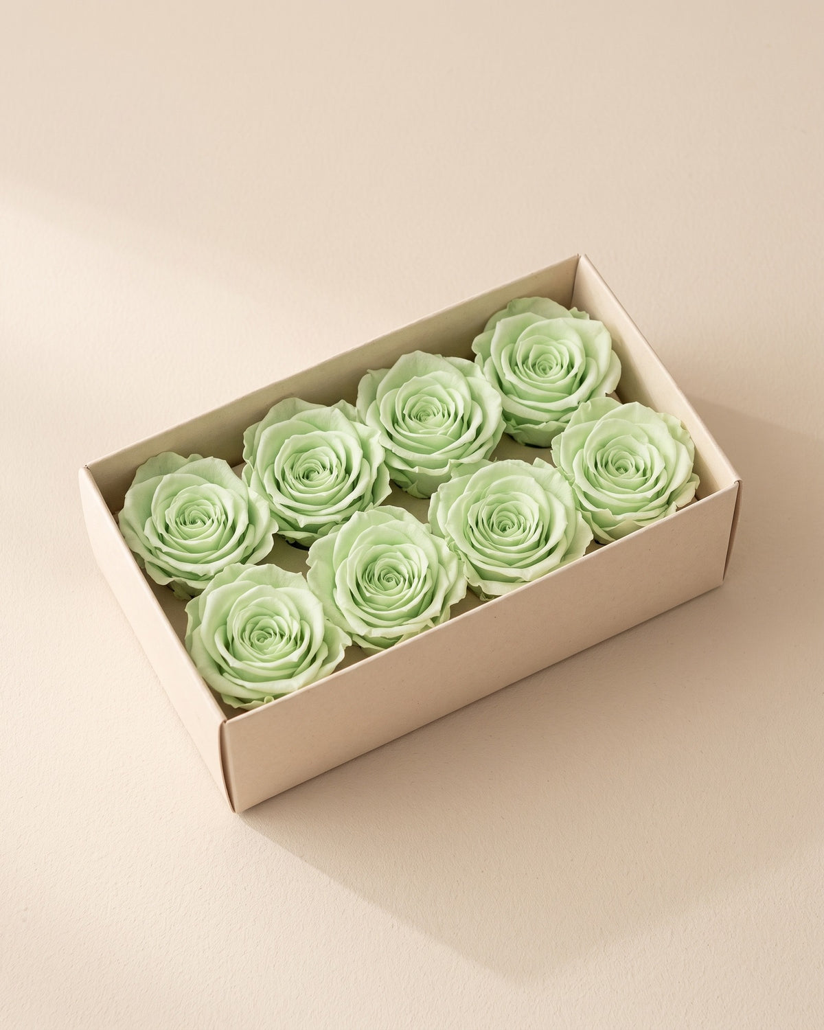 Cabezas de rosa preservada verde clara (Inés) en una caja abierta