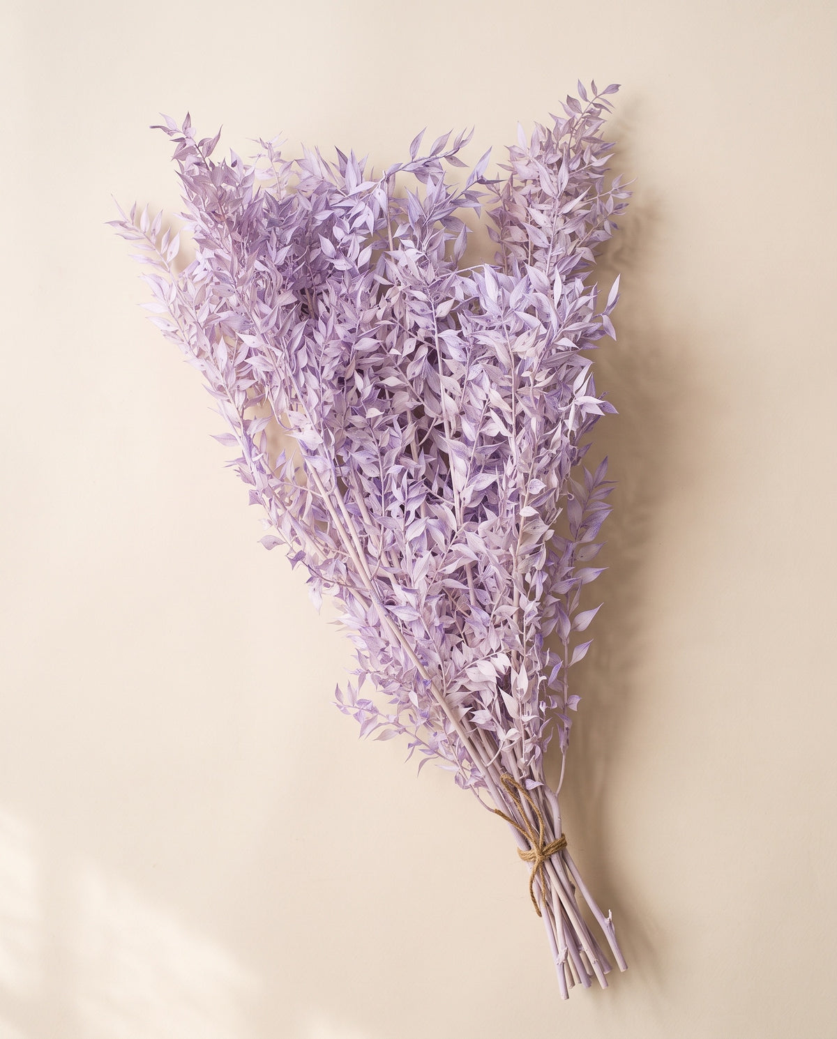 Ruscus preservado lavanda, mazo visto desde arriba