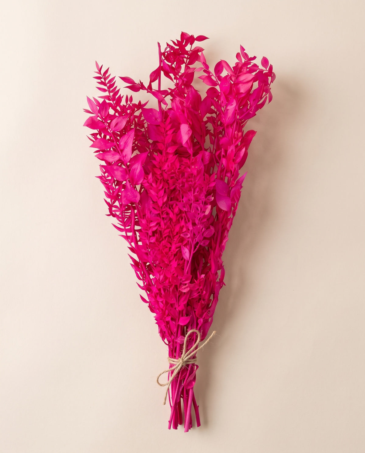Ruscus preservado fucsia, mazo visto desde arriba