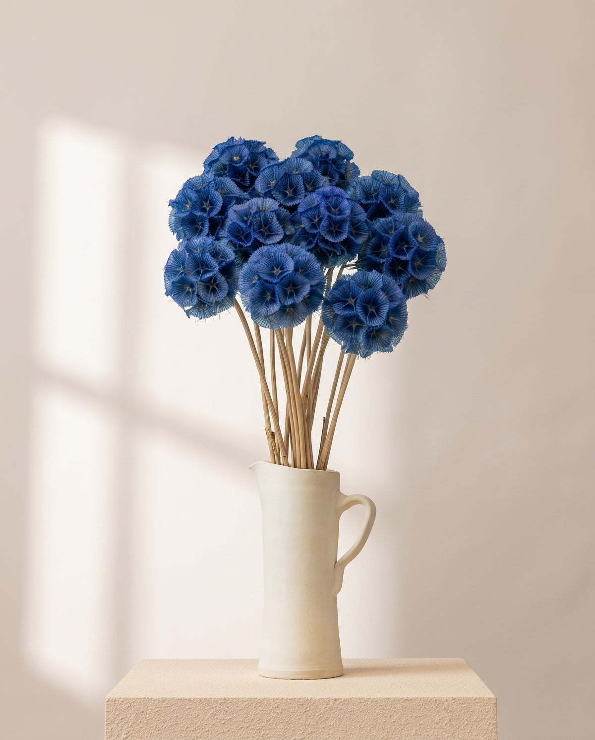 Scabiosa preservada azul en una jarra de cerámica crema. Jarra no incluida.