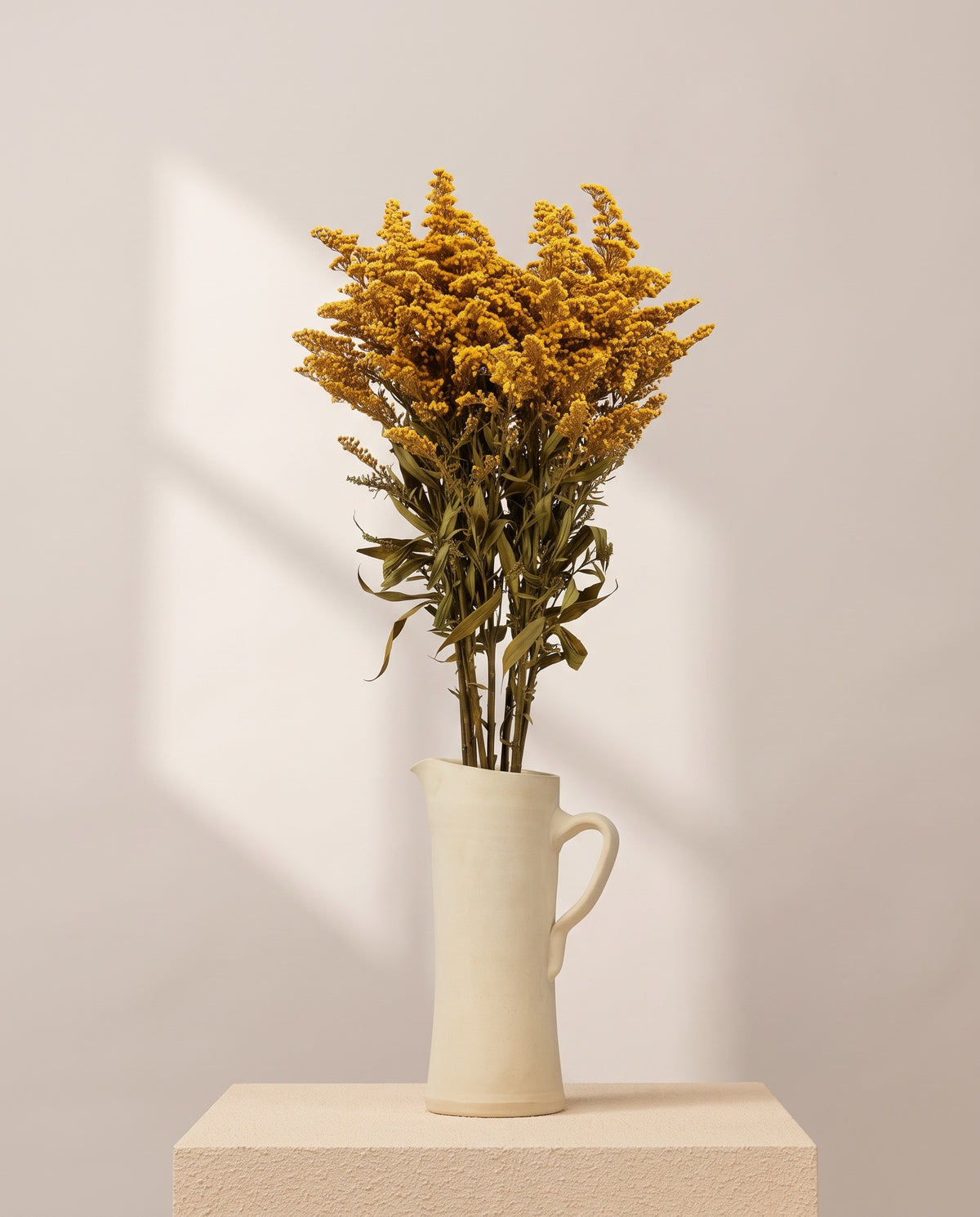 Solidago preservada amarilla en una jarra de cerámica crema. Jarra no incluida.