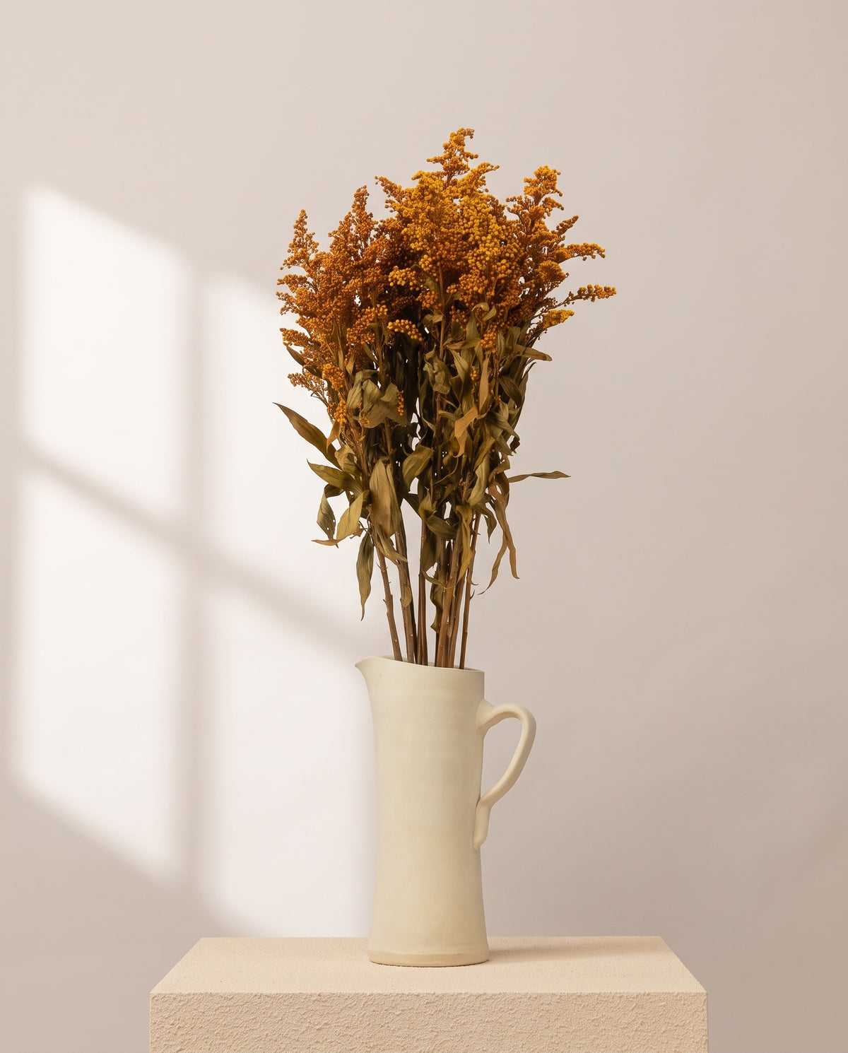 Solidago preservada chocolate en una jarra de cerámica crema. Jarra no incluida.