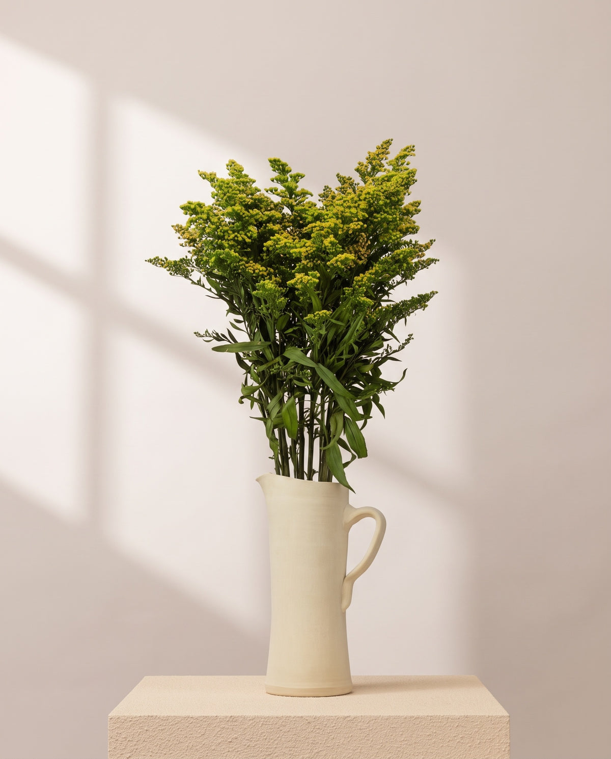 Solidago preservada verde numa jarra de cerâmica creme. Jarra não incluída.