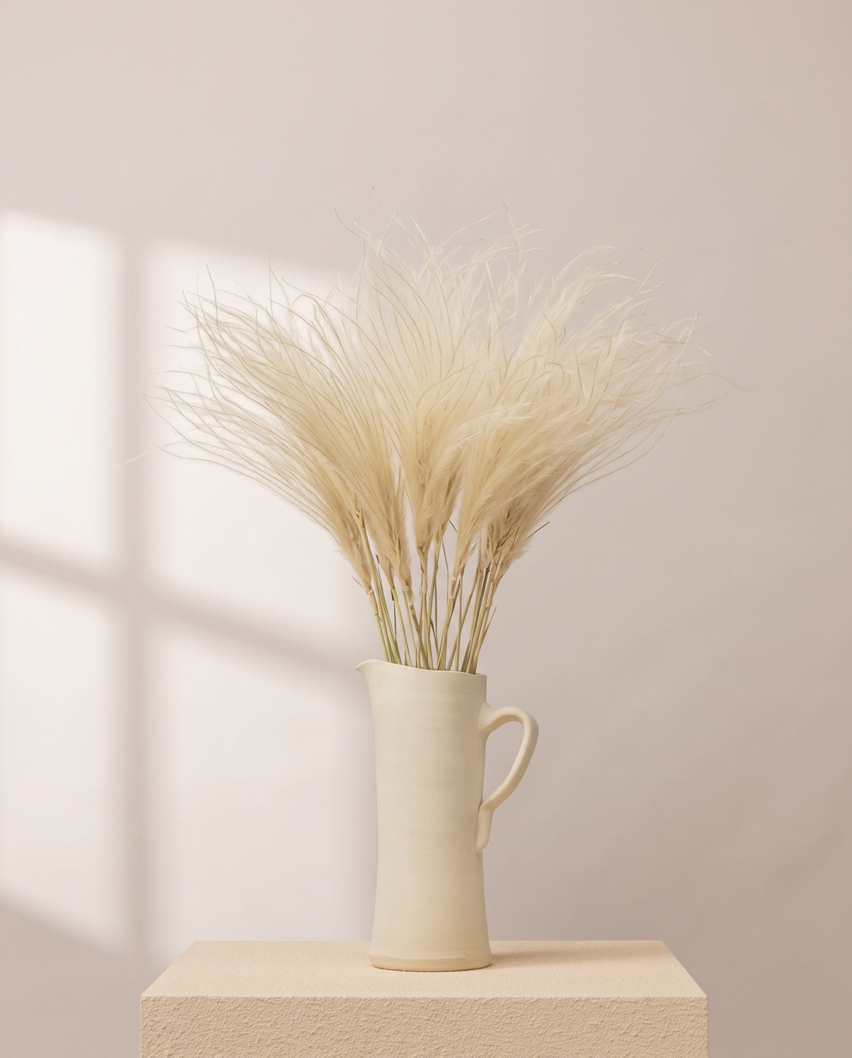 Stipa pennata seca blanca en una jarra de cerámica crema. Jarra no incluida.