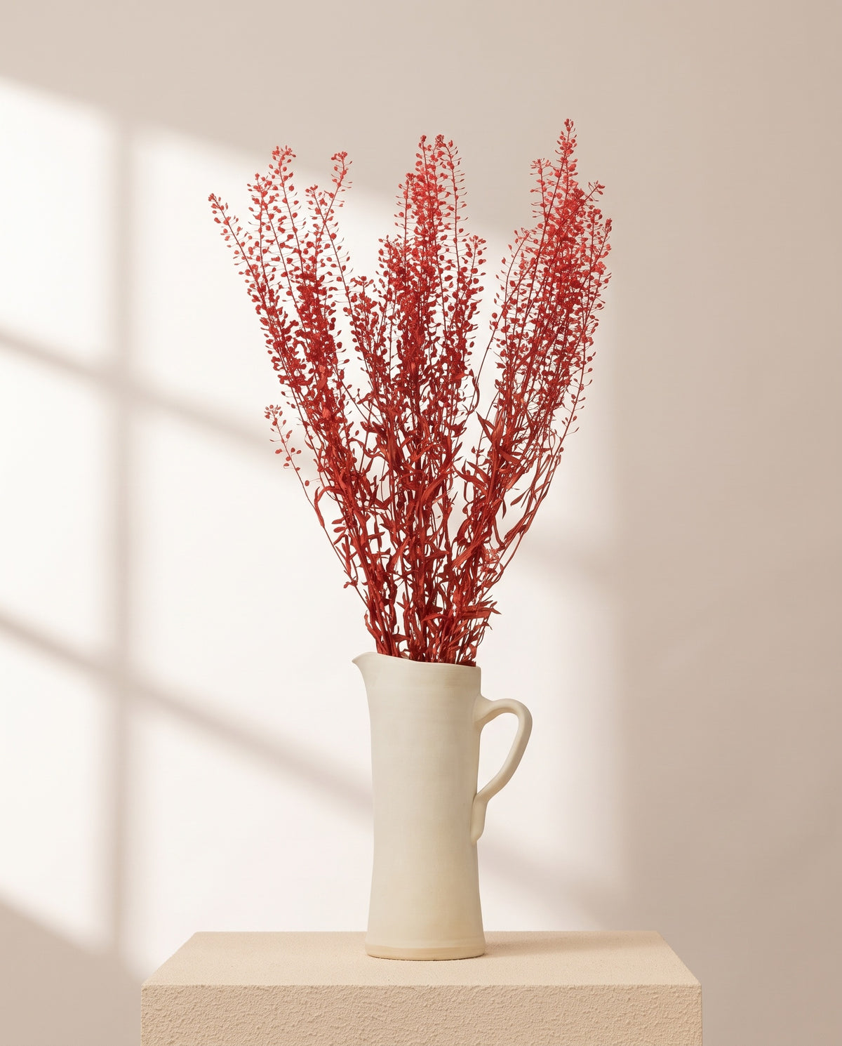 Thlaspi preservado rojo en una jarra de cerámica crema, ambientado. Jarra no incluida.